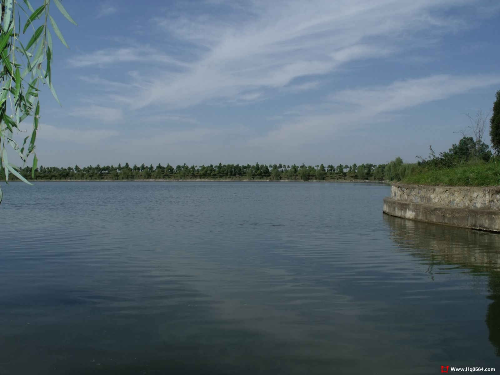 DSCF0833.jpg