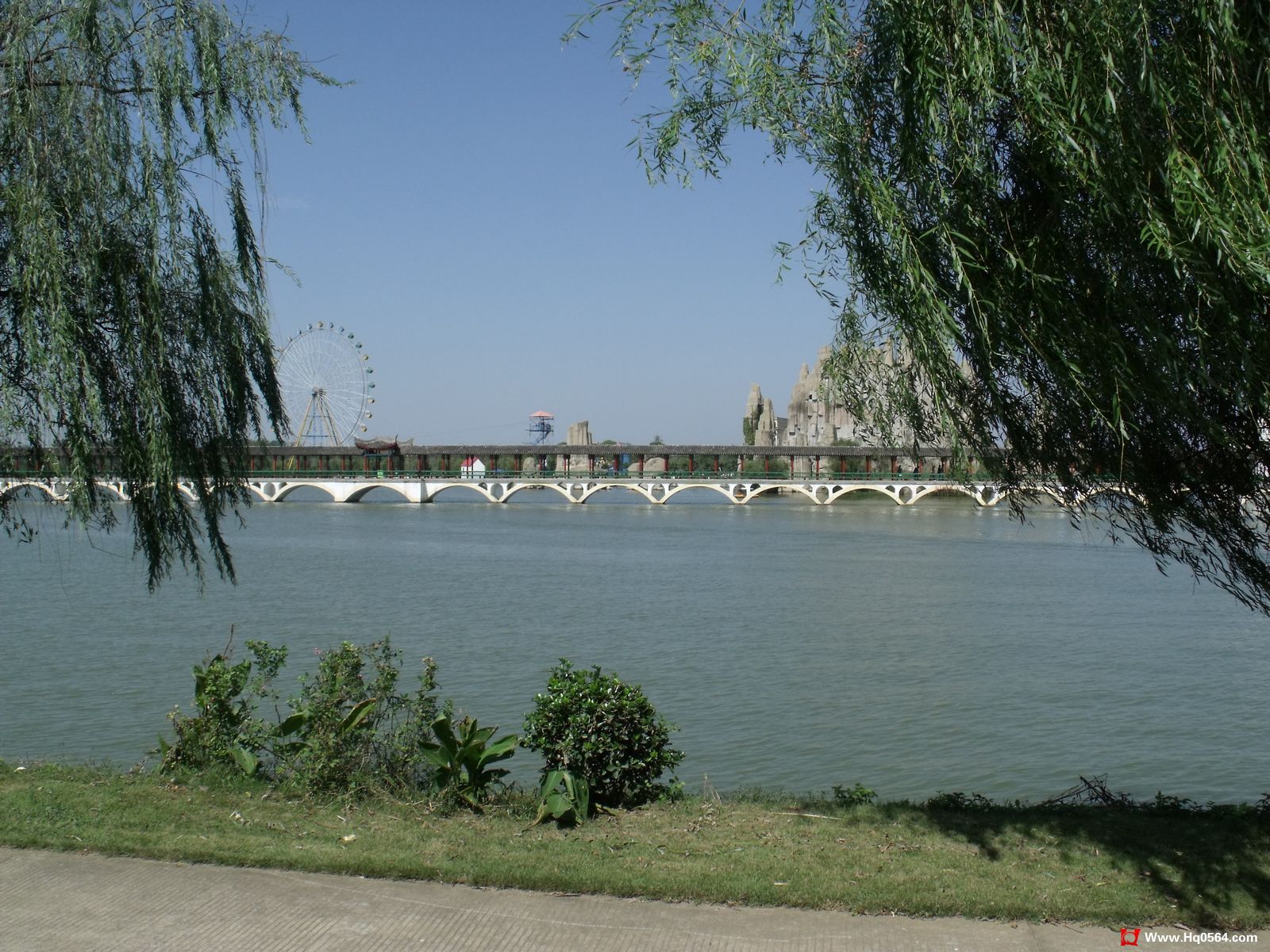 DSCF0847.jpg