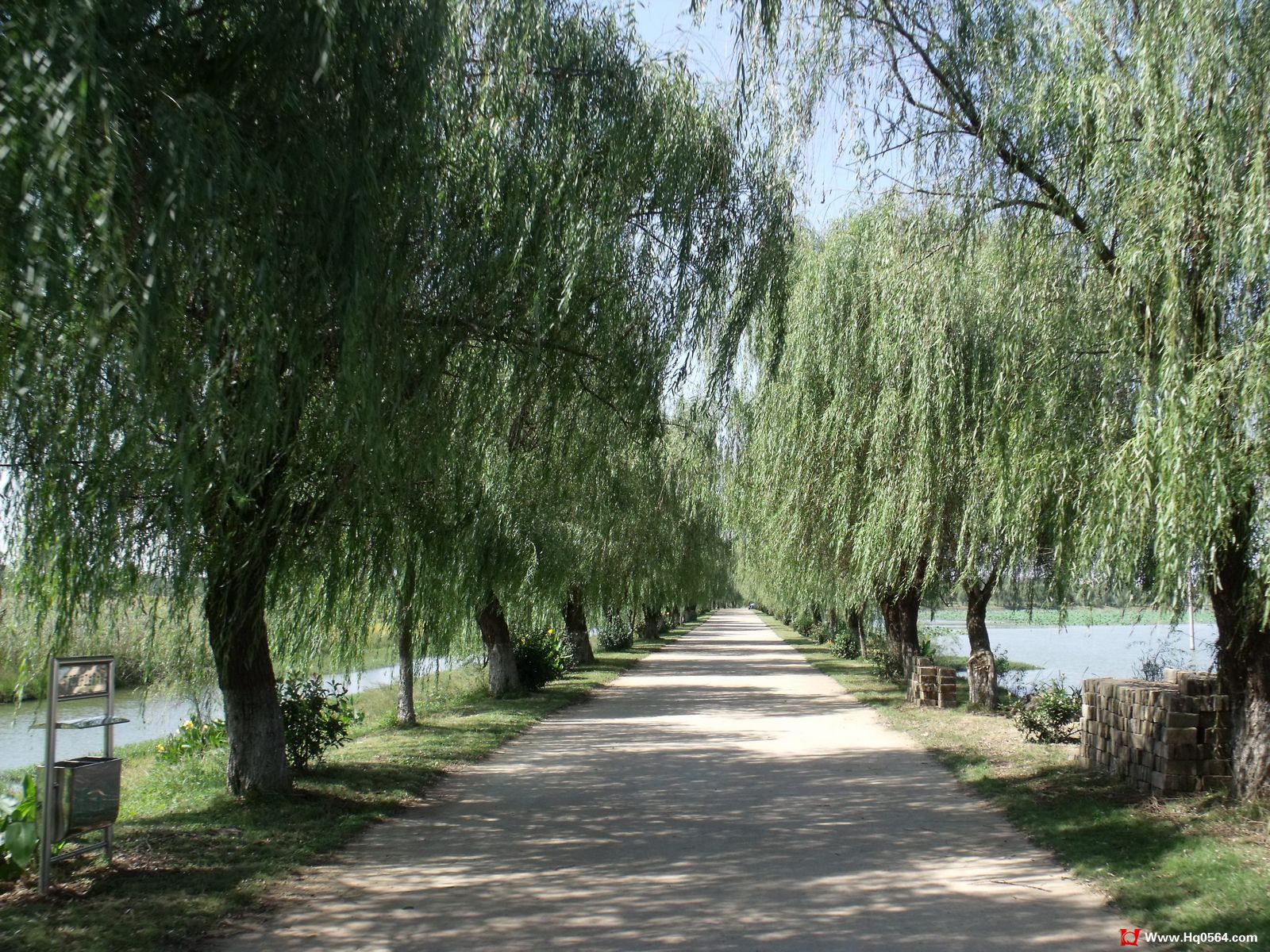 DSCF0850.jpg
