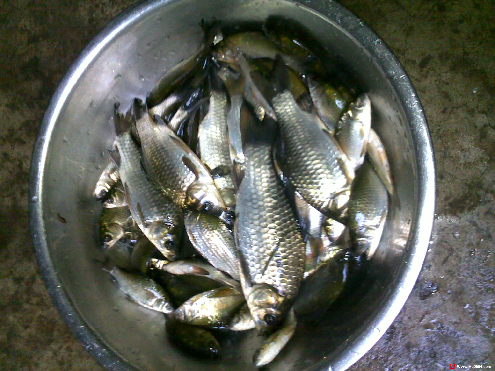 05.jpg