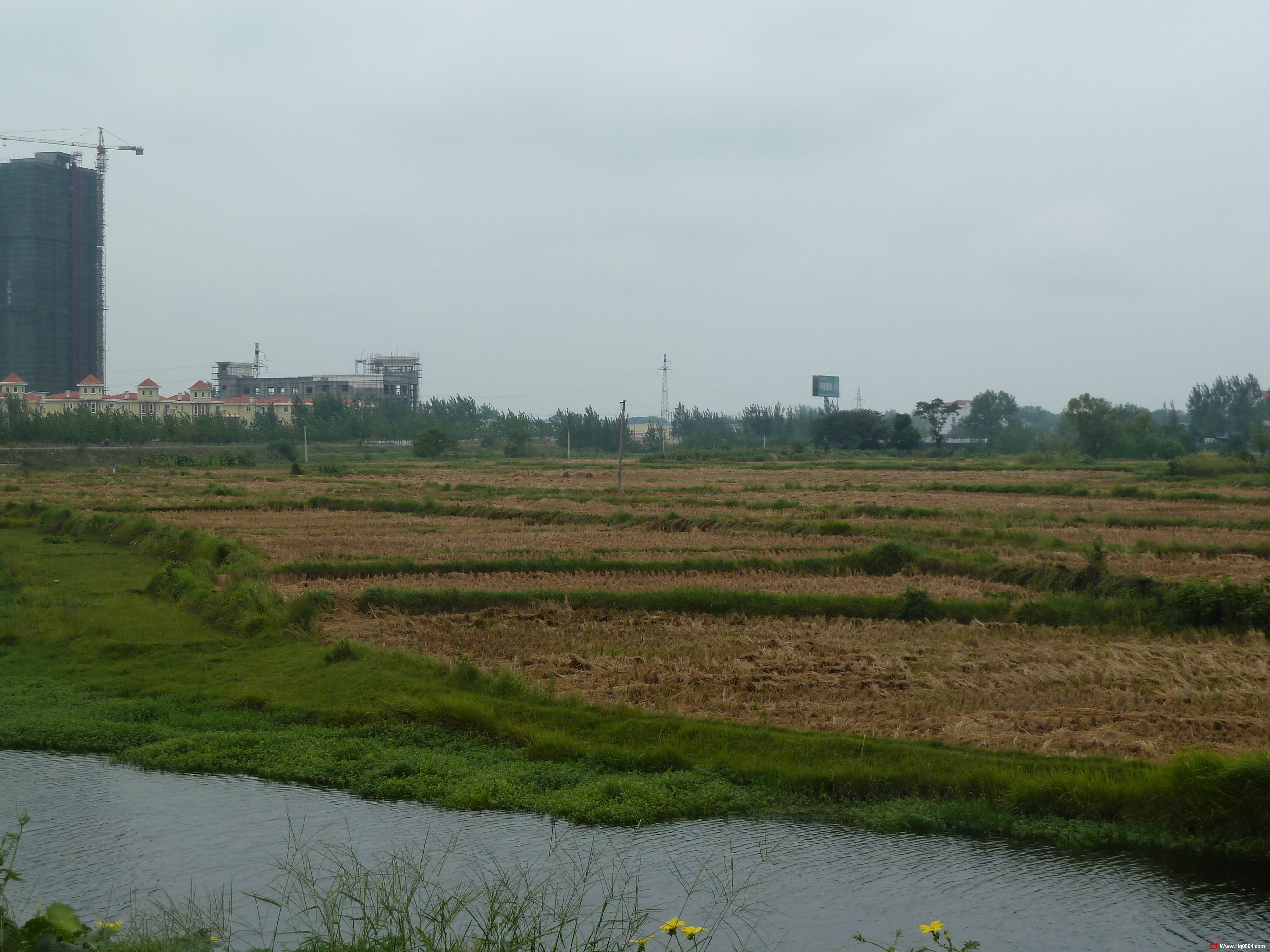 P1000537.jpg