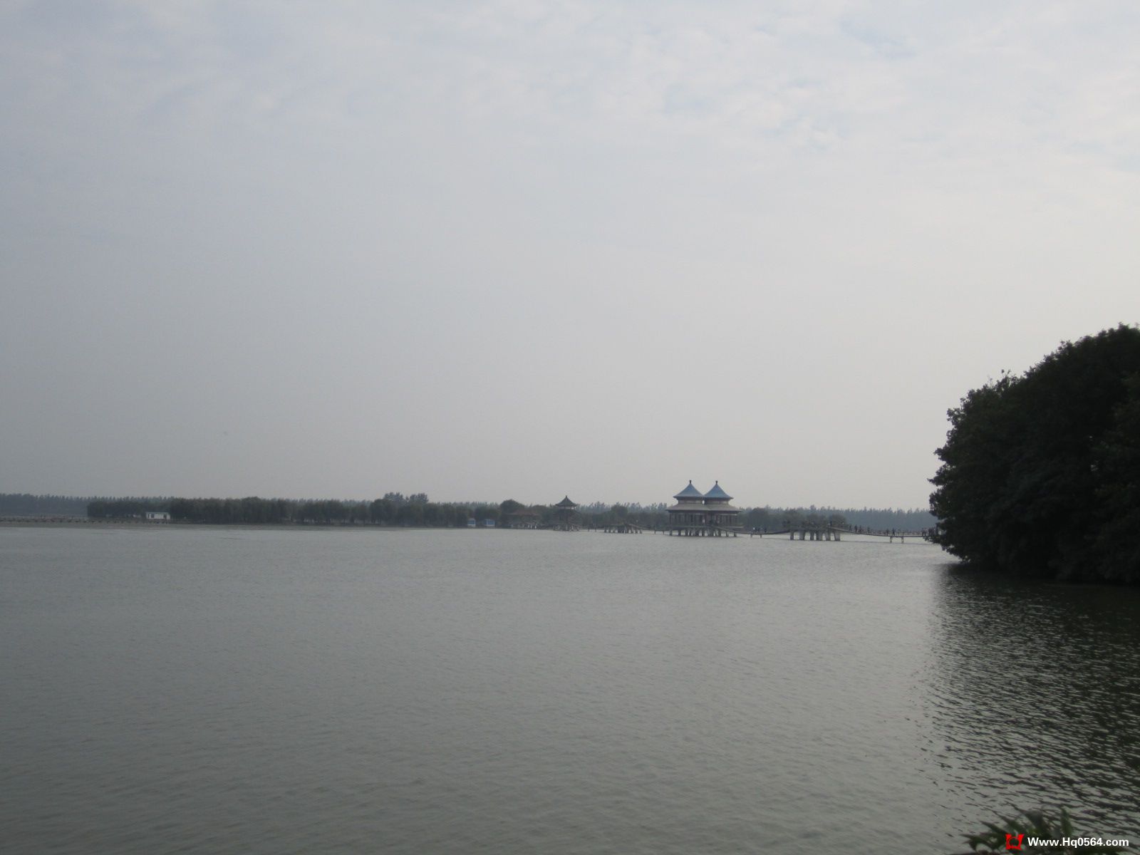 IMG_1316.jpg