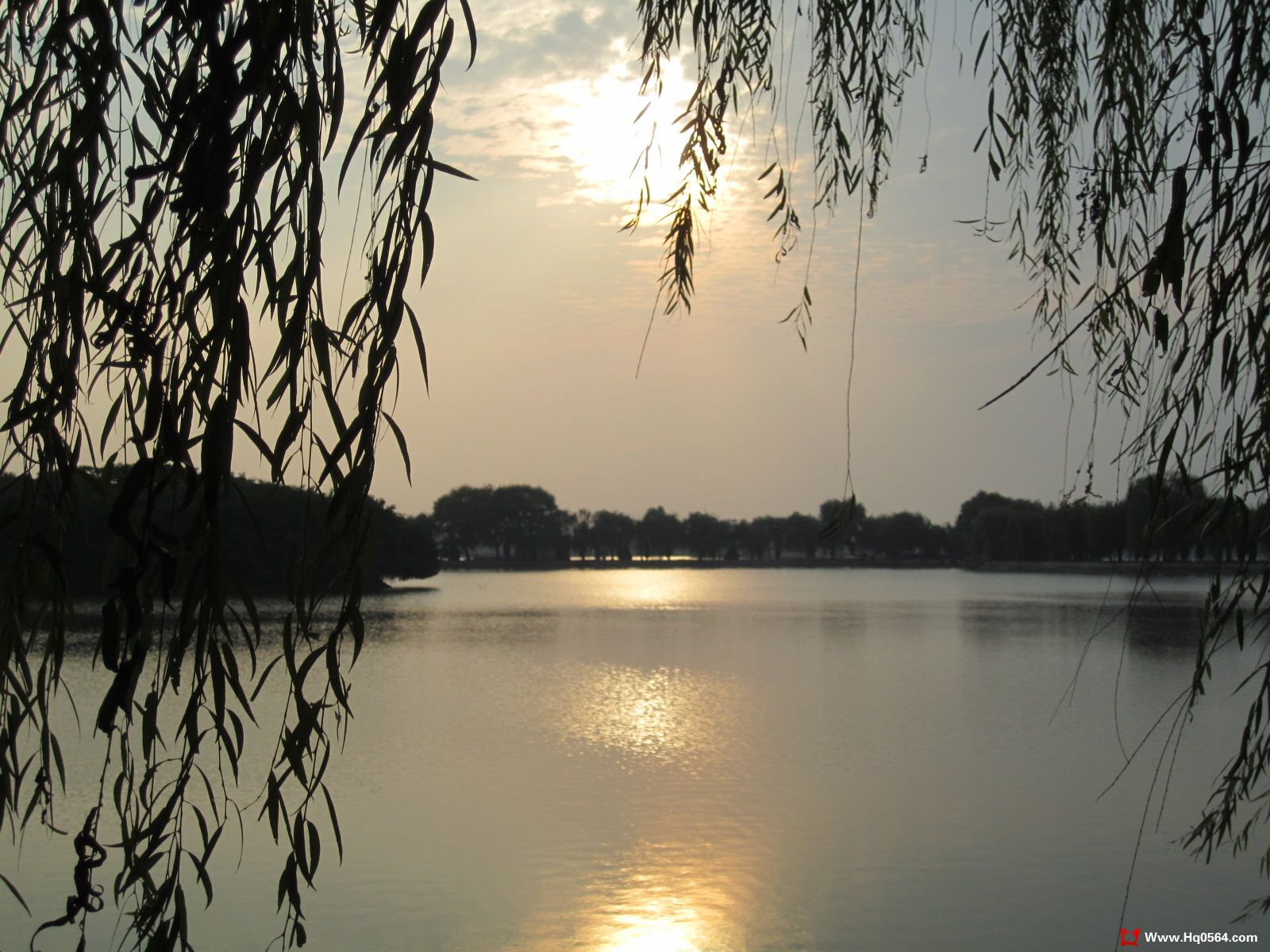 IMG_1360.jpg
