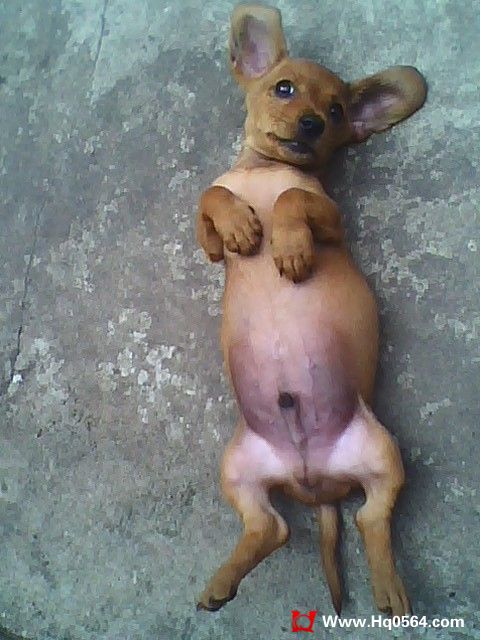 IMG0831130201.jpg