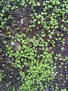 IMG1102115701.jpg