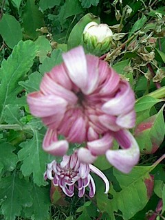 IMG1102115802.jpg