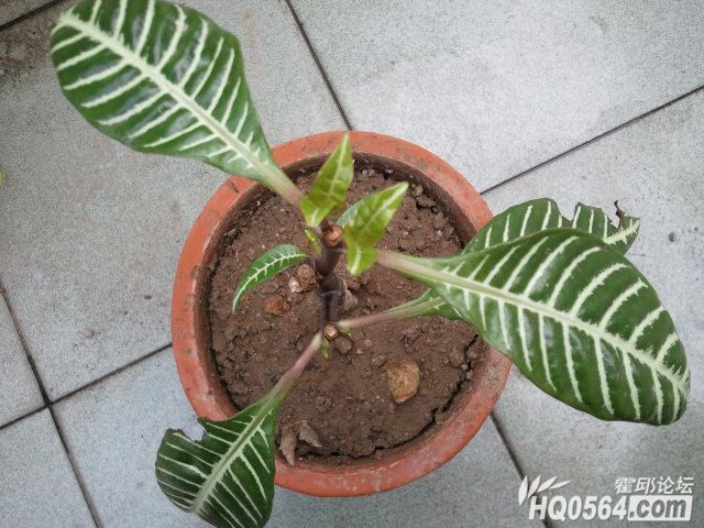 2011-11-02 14.02.22.jpg
