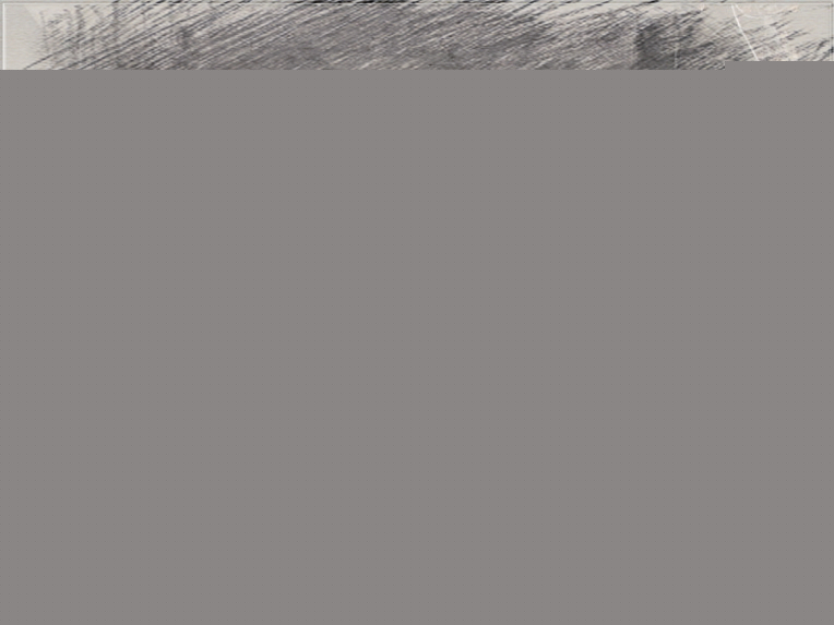101220204455e81a484fb5a738_����.jpg
