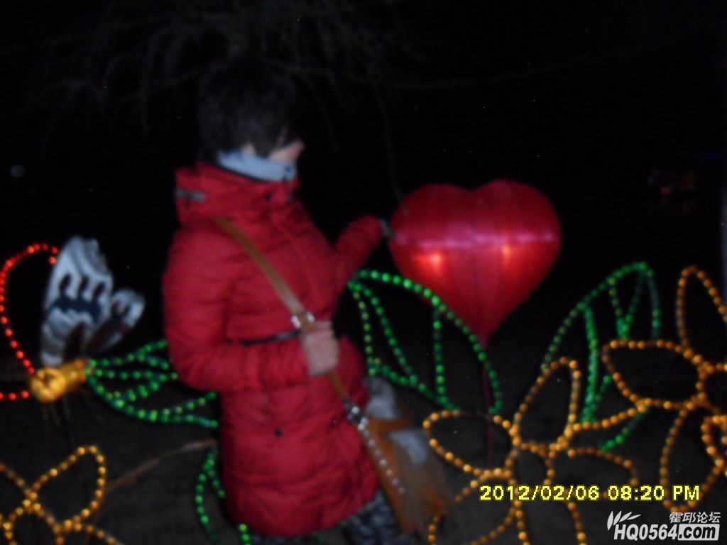 SAM_0784.JPG