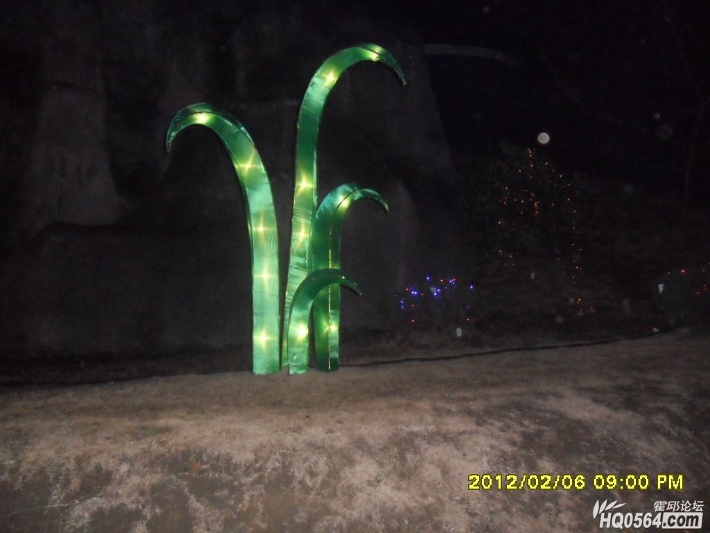 SAM_0873.JPG