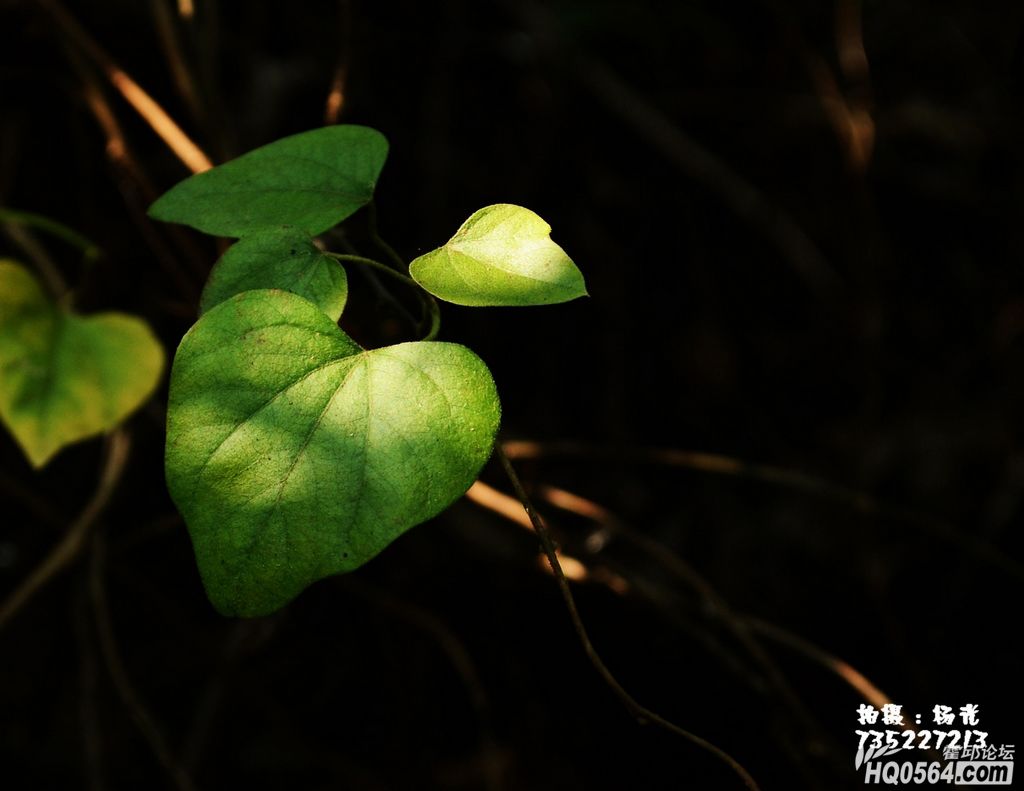 DSC_0355.JPG