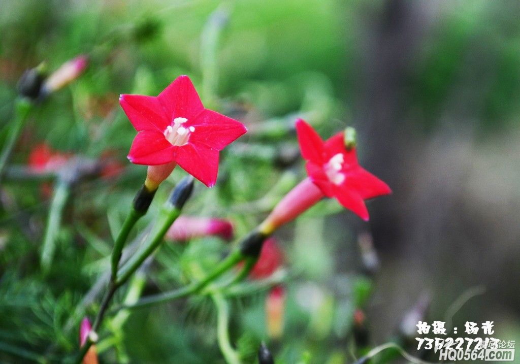 DSC_0633.JPG
