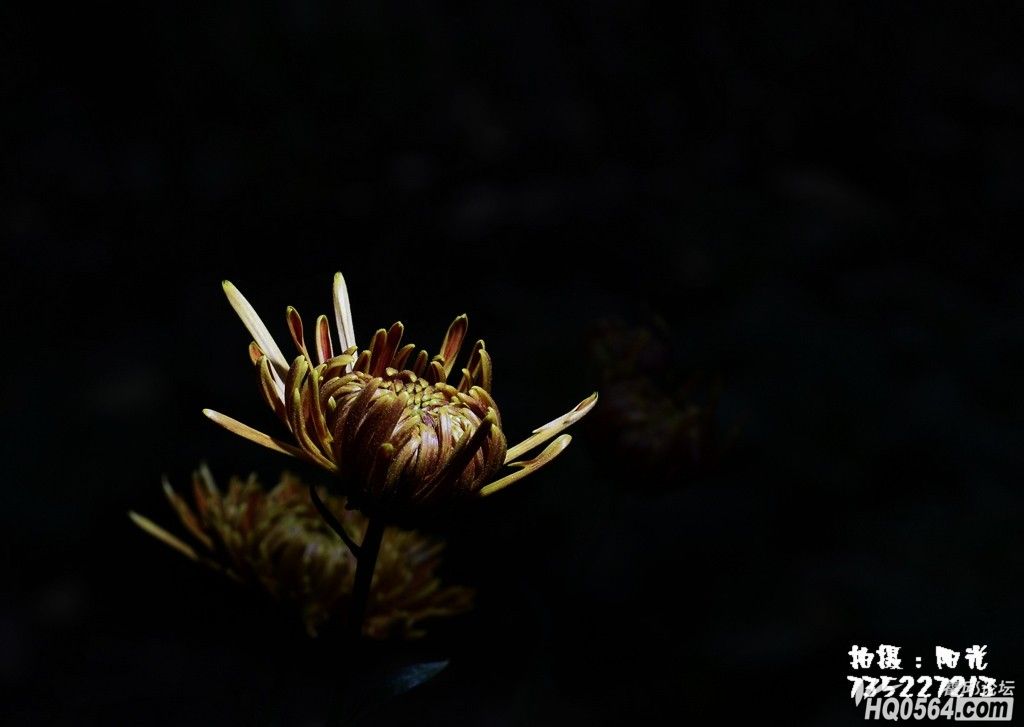 DSC_1260.JPG