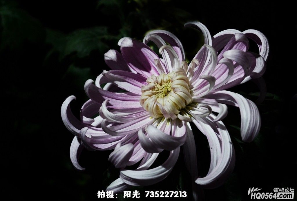 DSC_1961.JPG