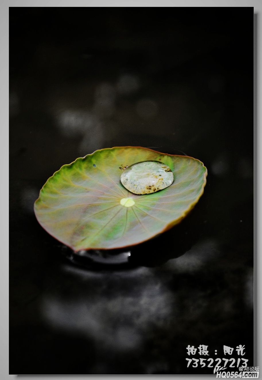 DSC_4246.JPG