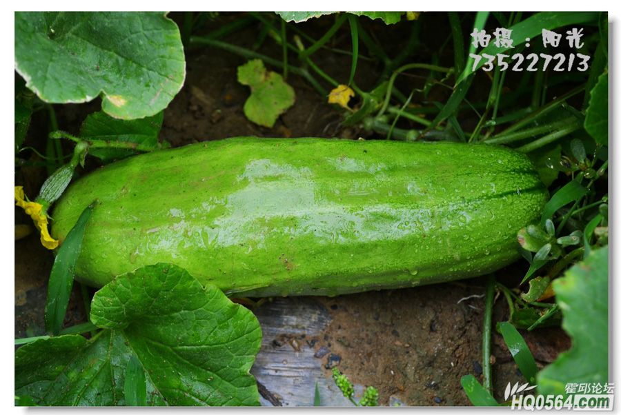 a10712787.jpg