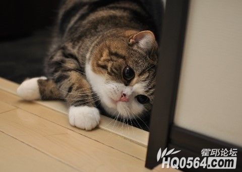 67202113201164131t.jpg
