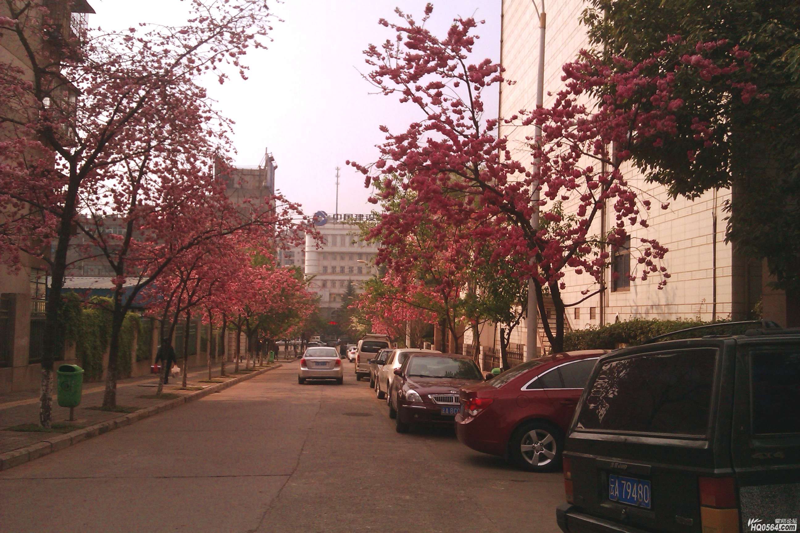 IMAG00151.jpg