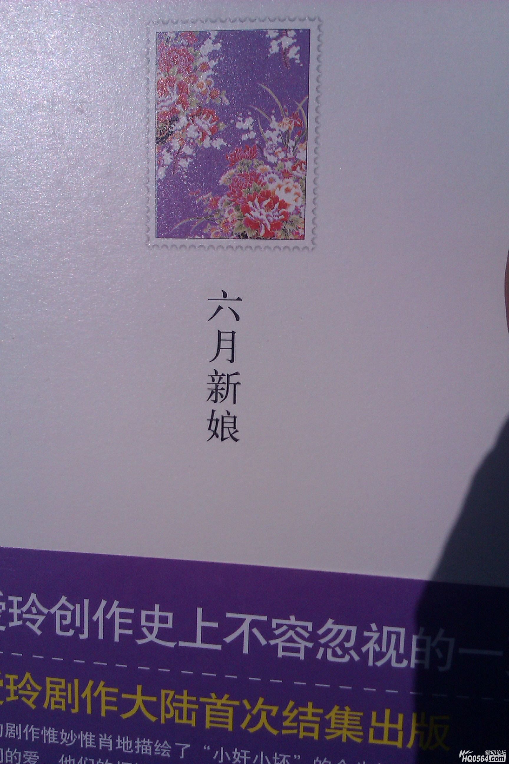 IMAG0061_conew1.jpg