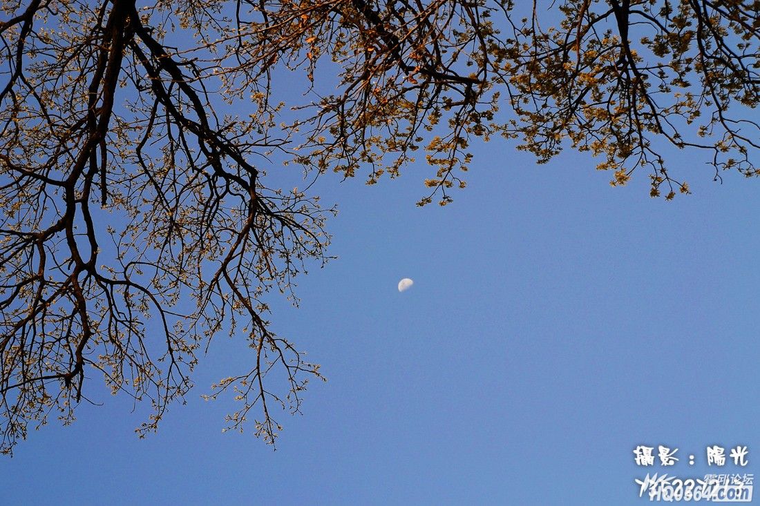 DSC_5611.jpg
