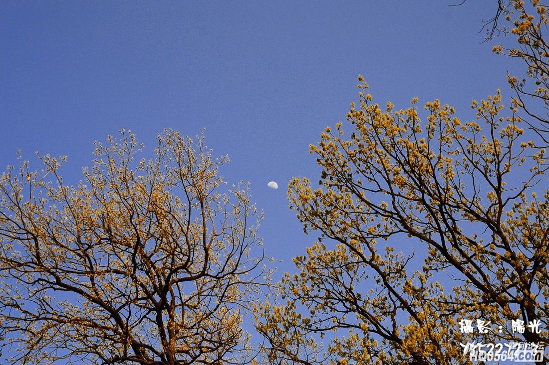 DSC_5608.jpg