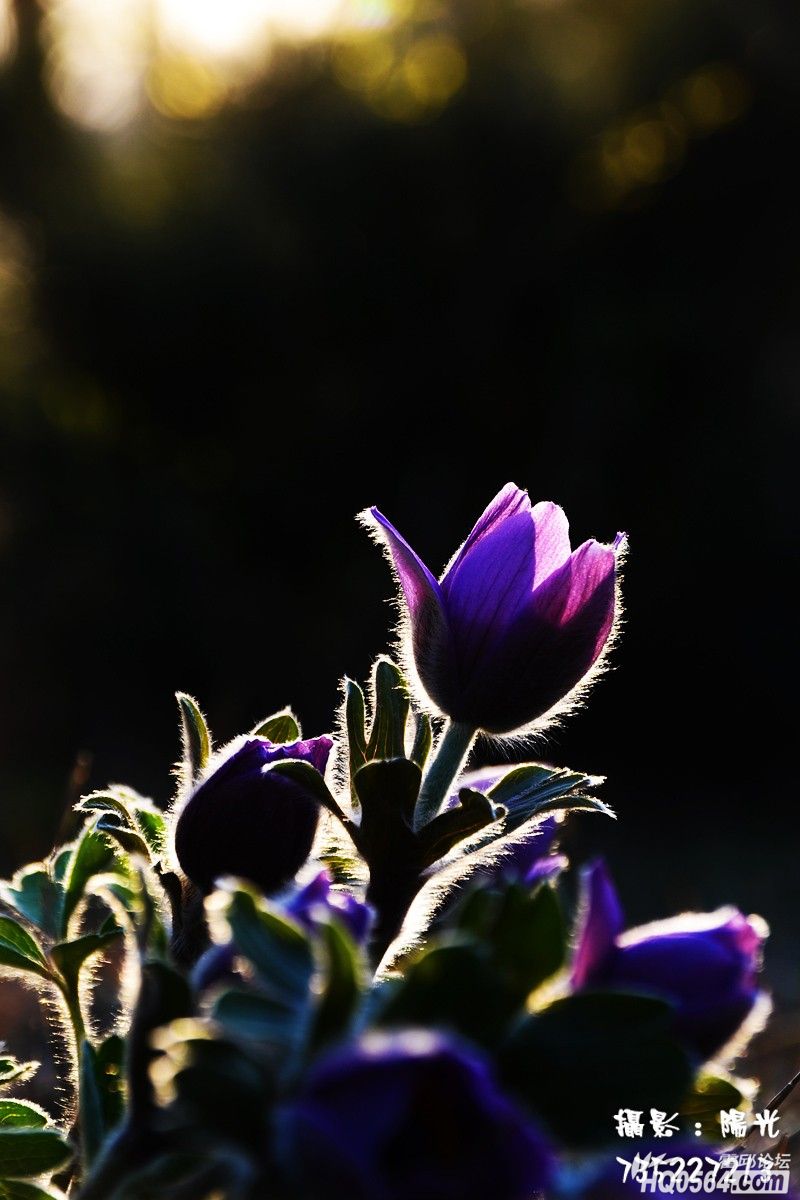DSC_5634.jpg