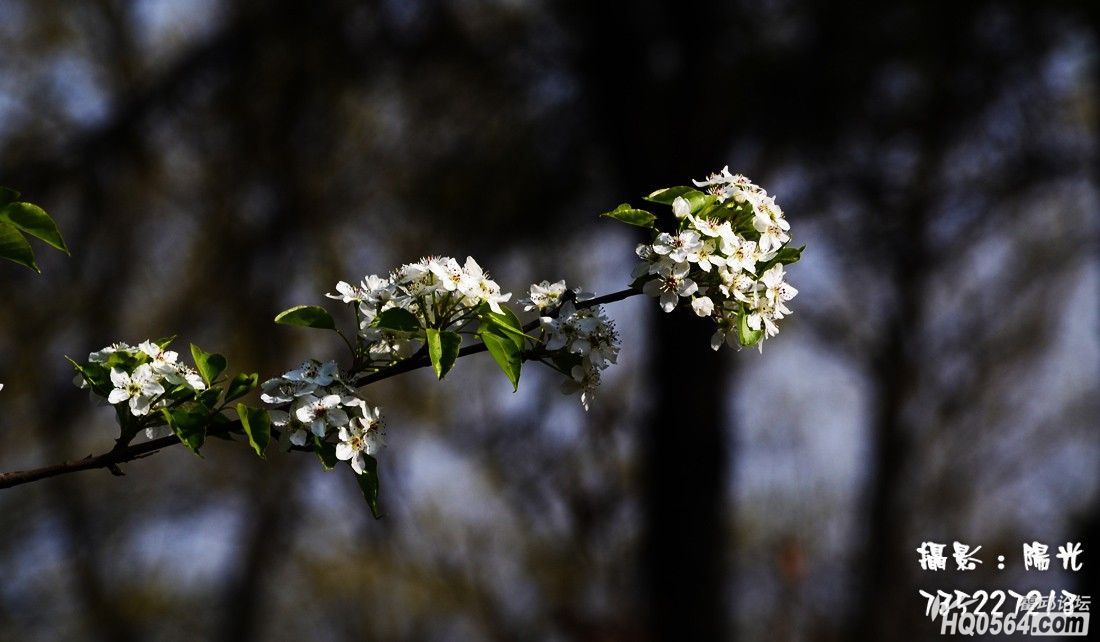 DSC_5513.jpg