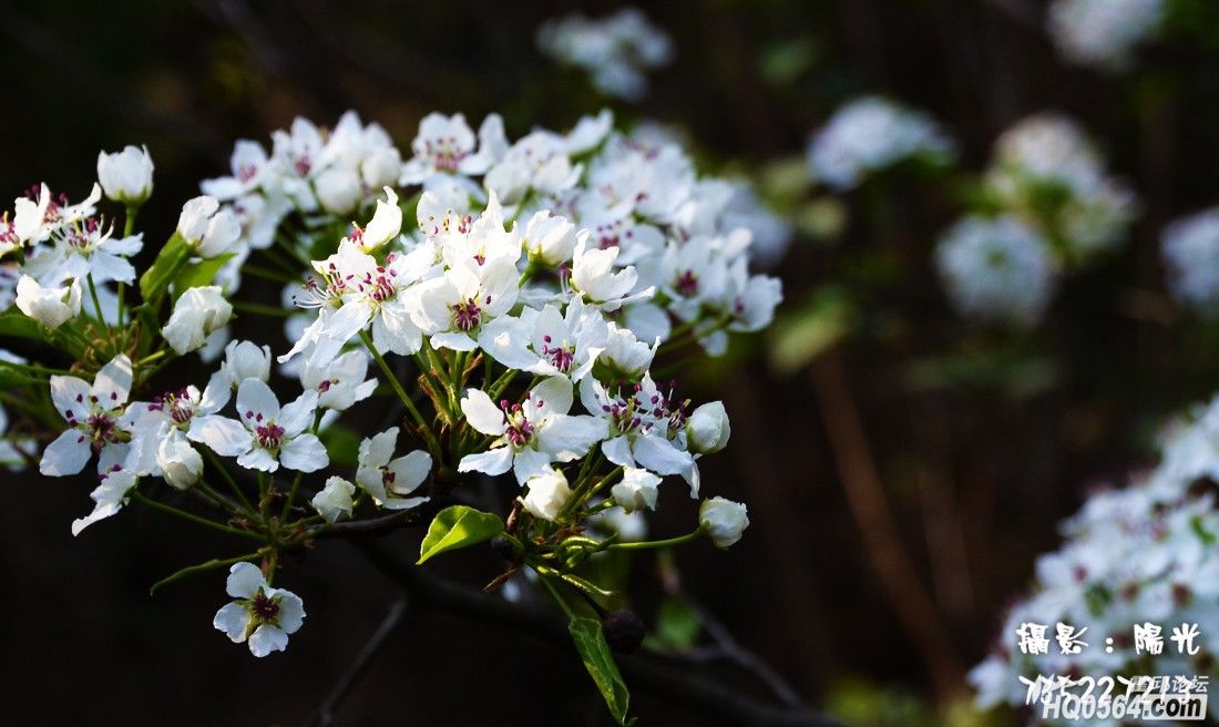 DSC_5523.jpg