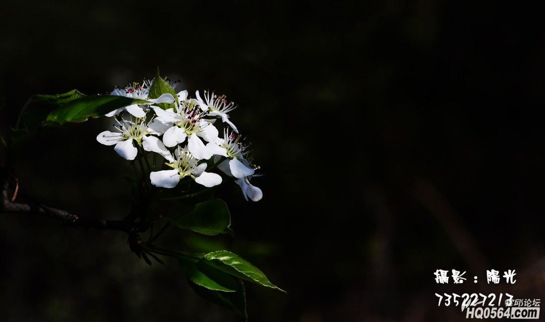 DSC_5536.jpg