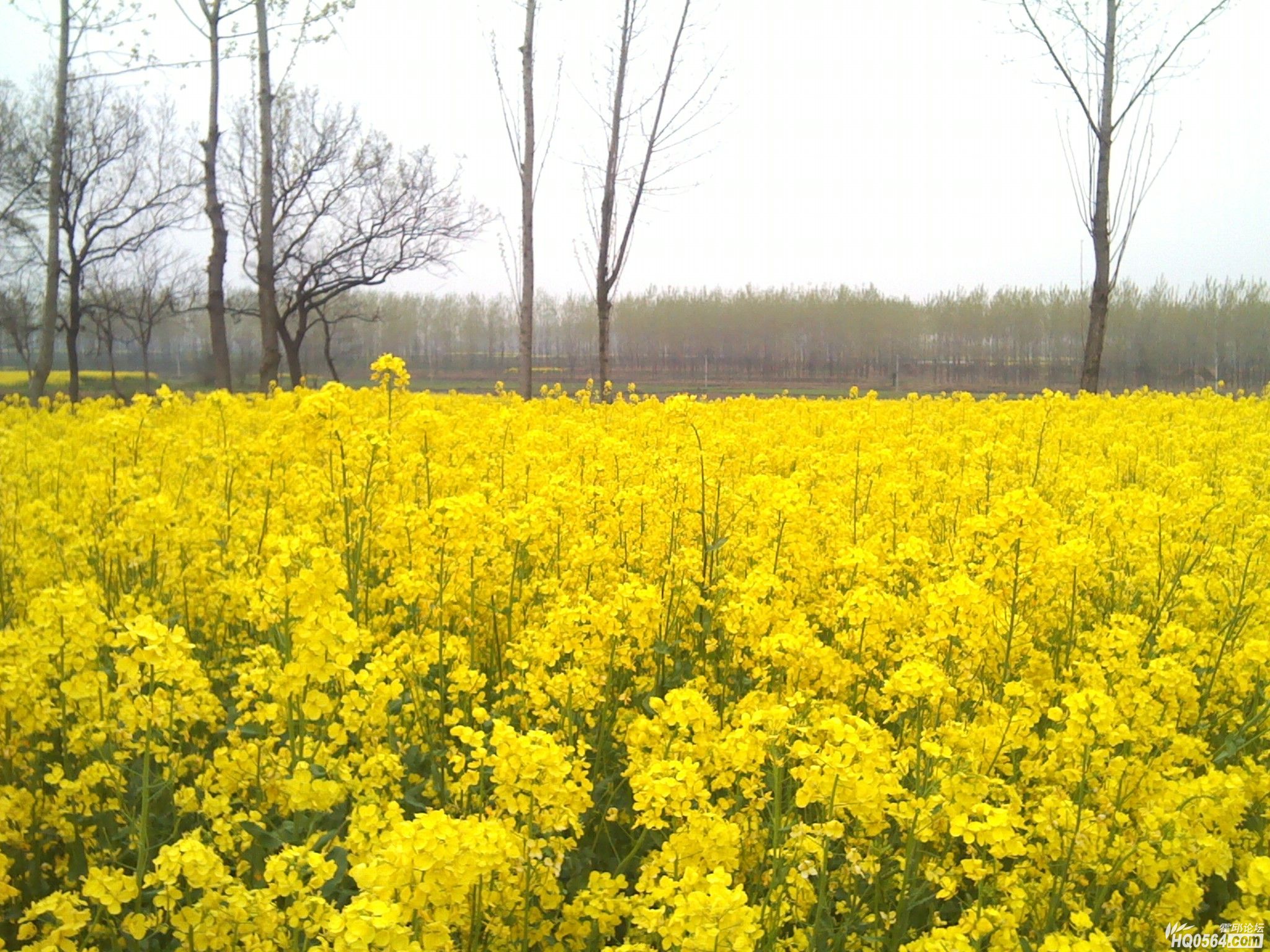 IMG_20120404_180923.jpg