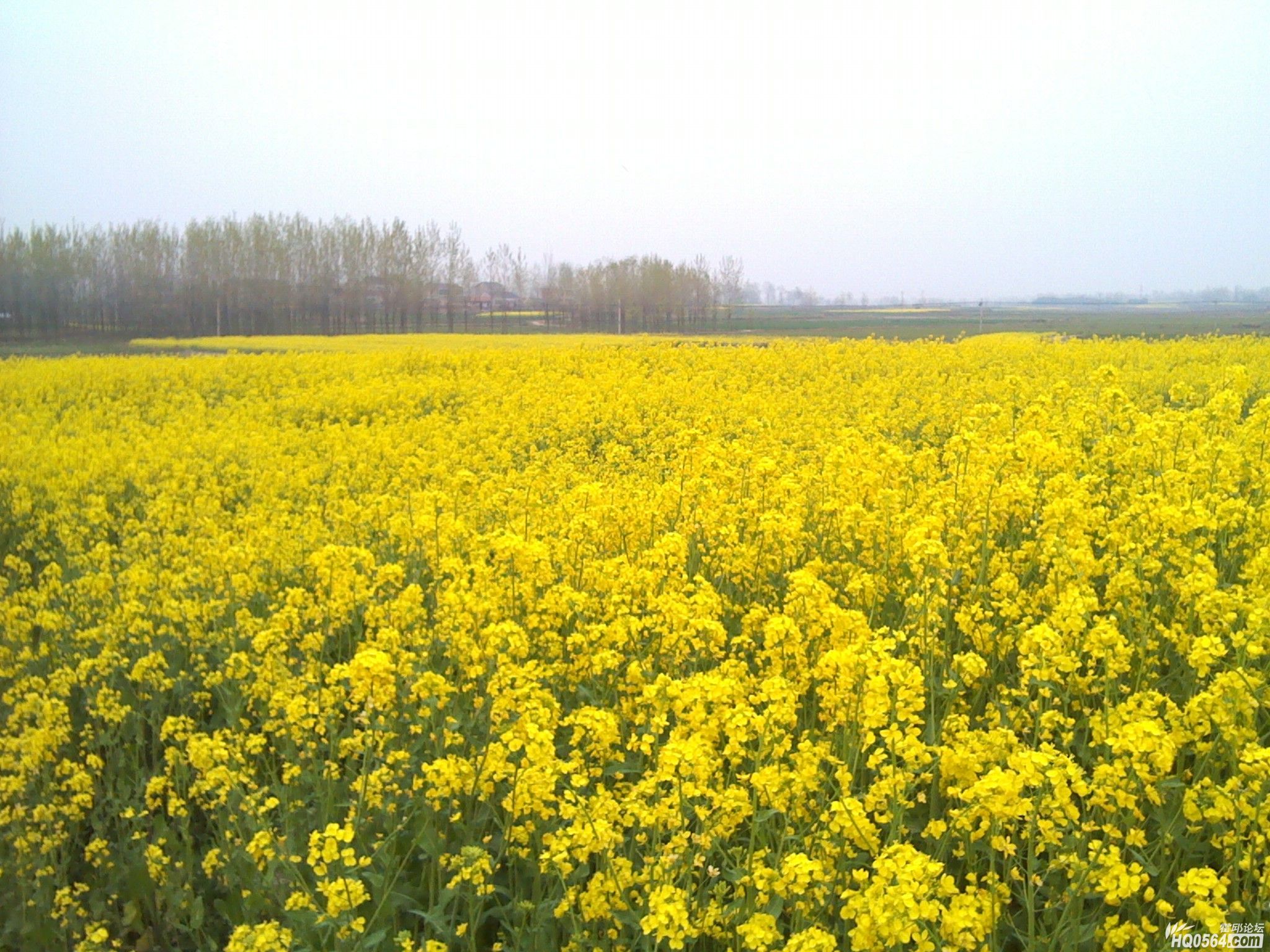 IMG_20120404_181051.jpg