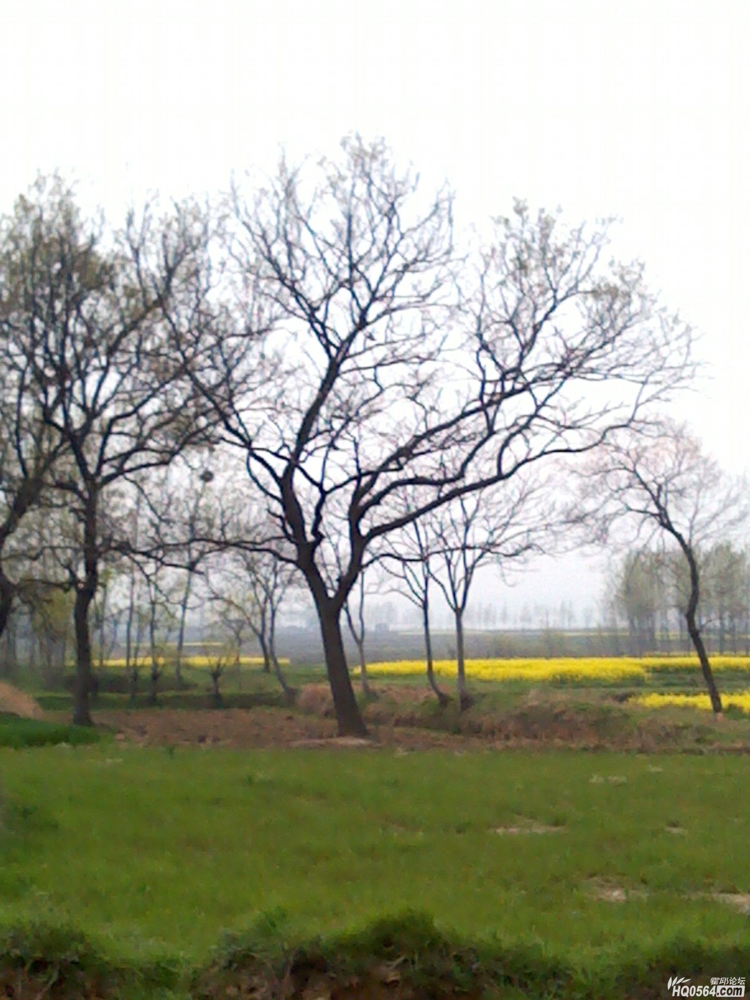 IMG_20120404_181110.jpg