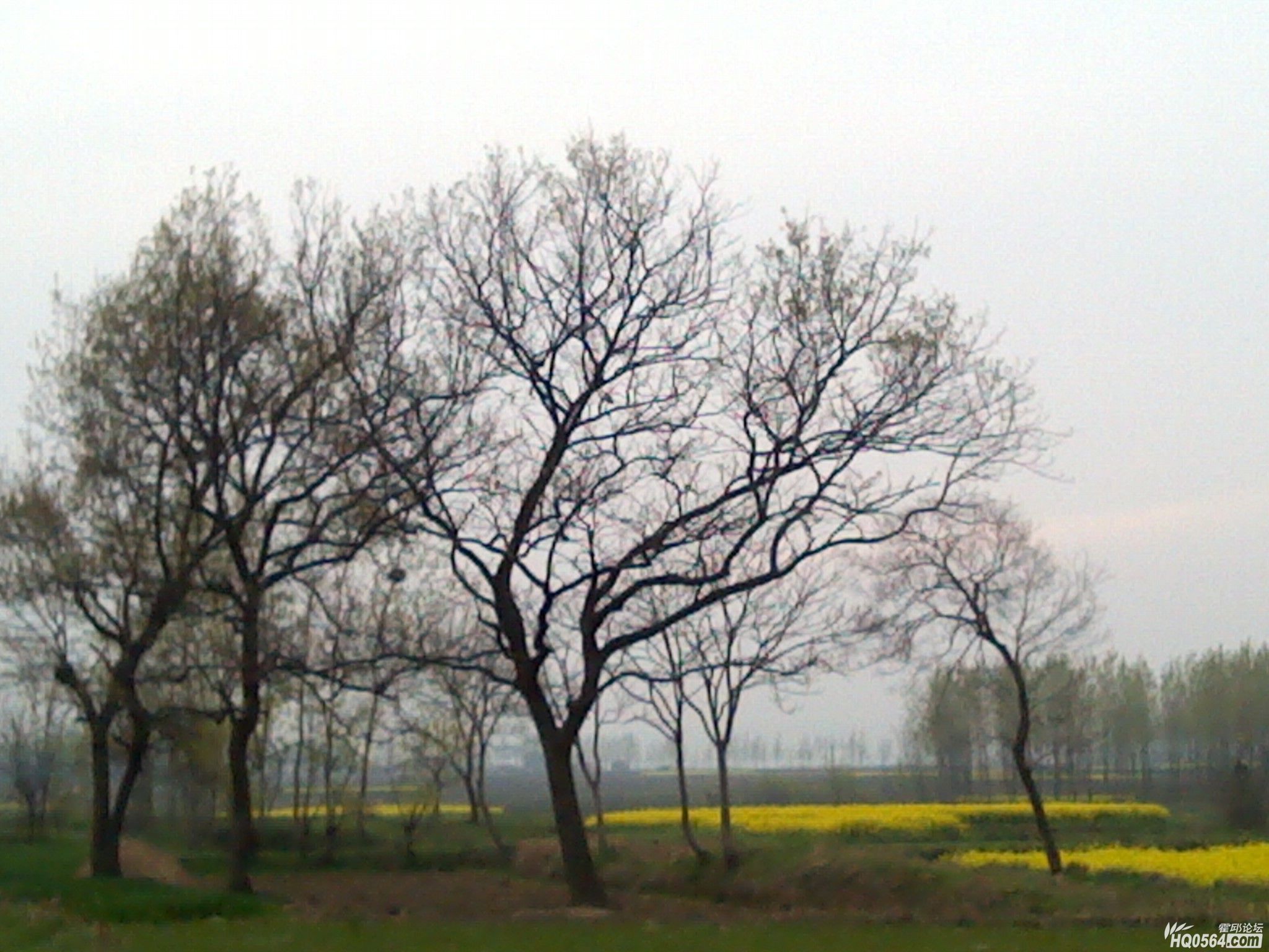 IMG_20120404_181121.jpg