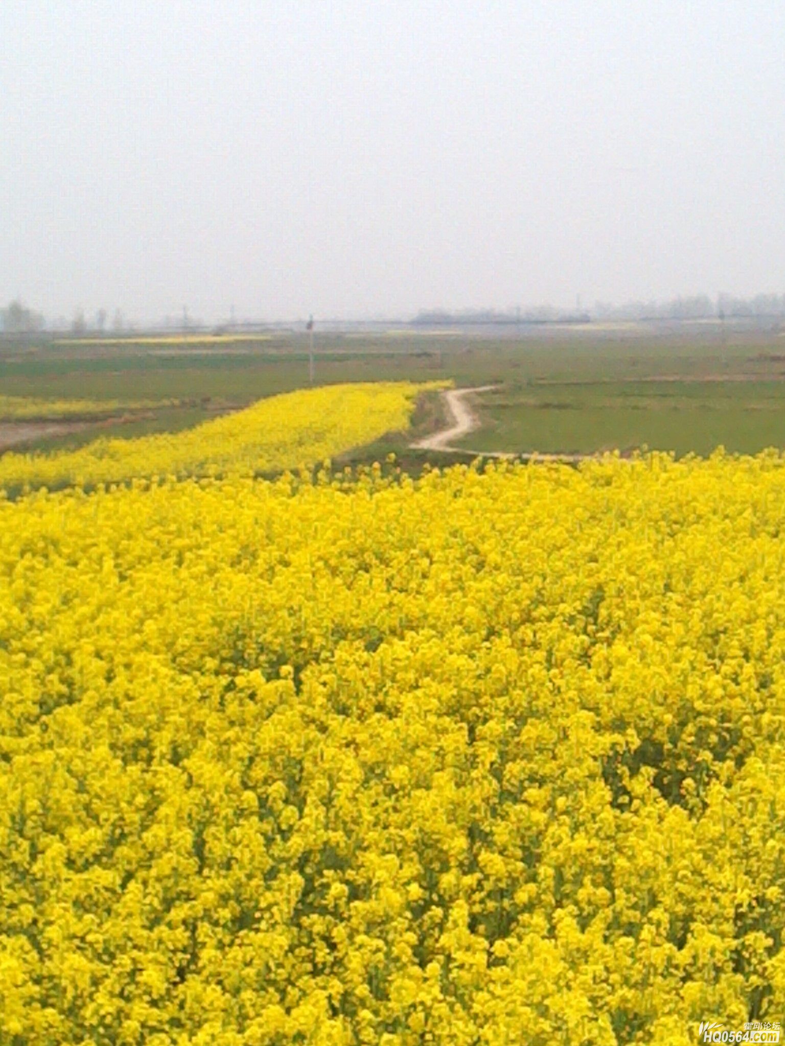 IMG_20120404_181235.jpg