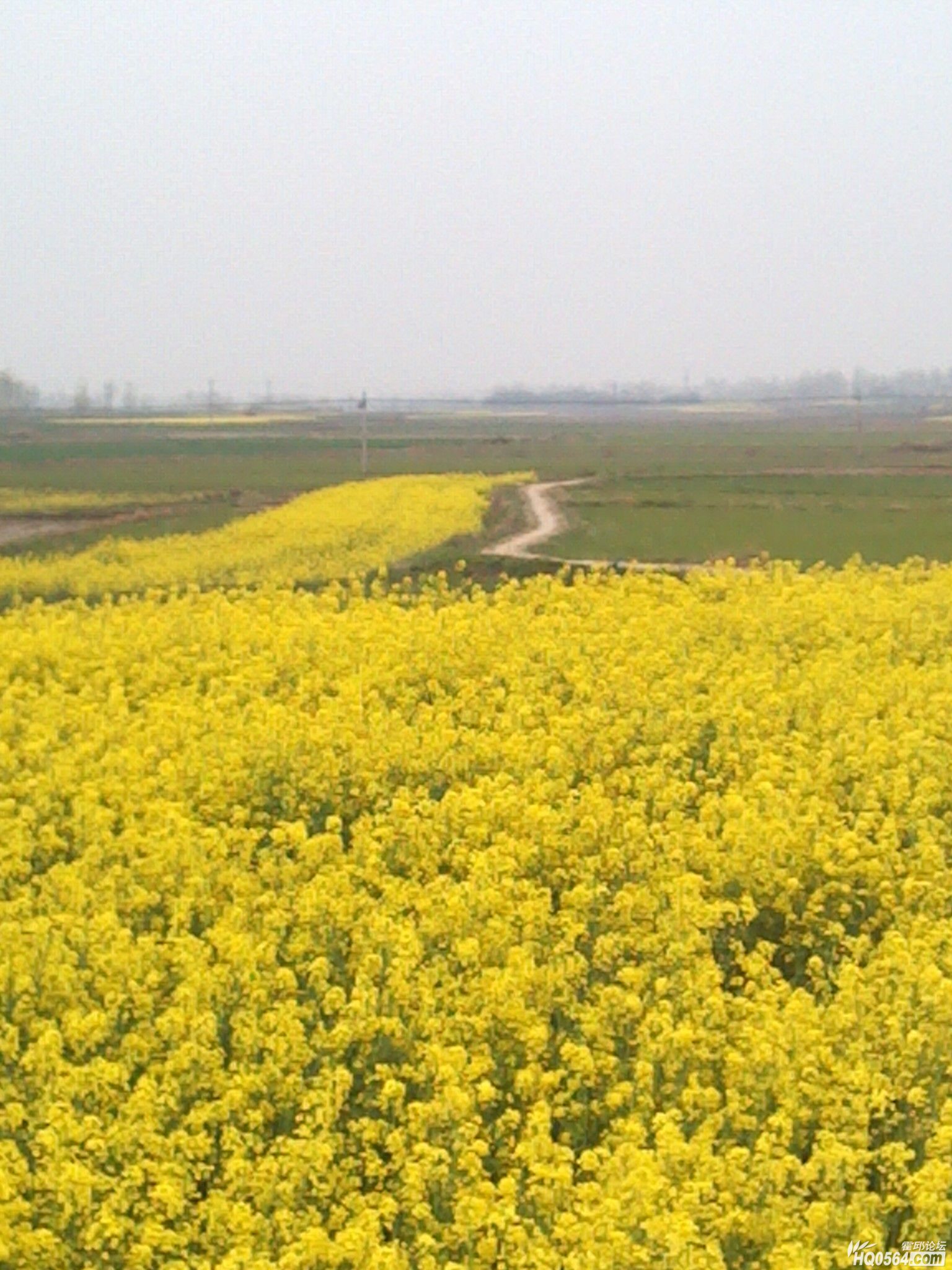 IMG_20120404_181239.jpg
