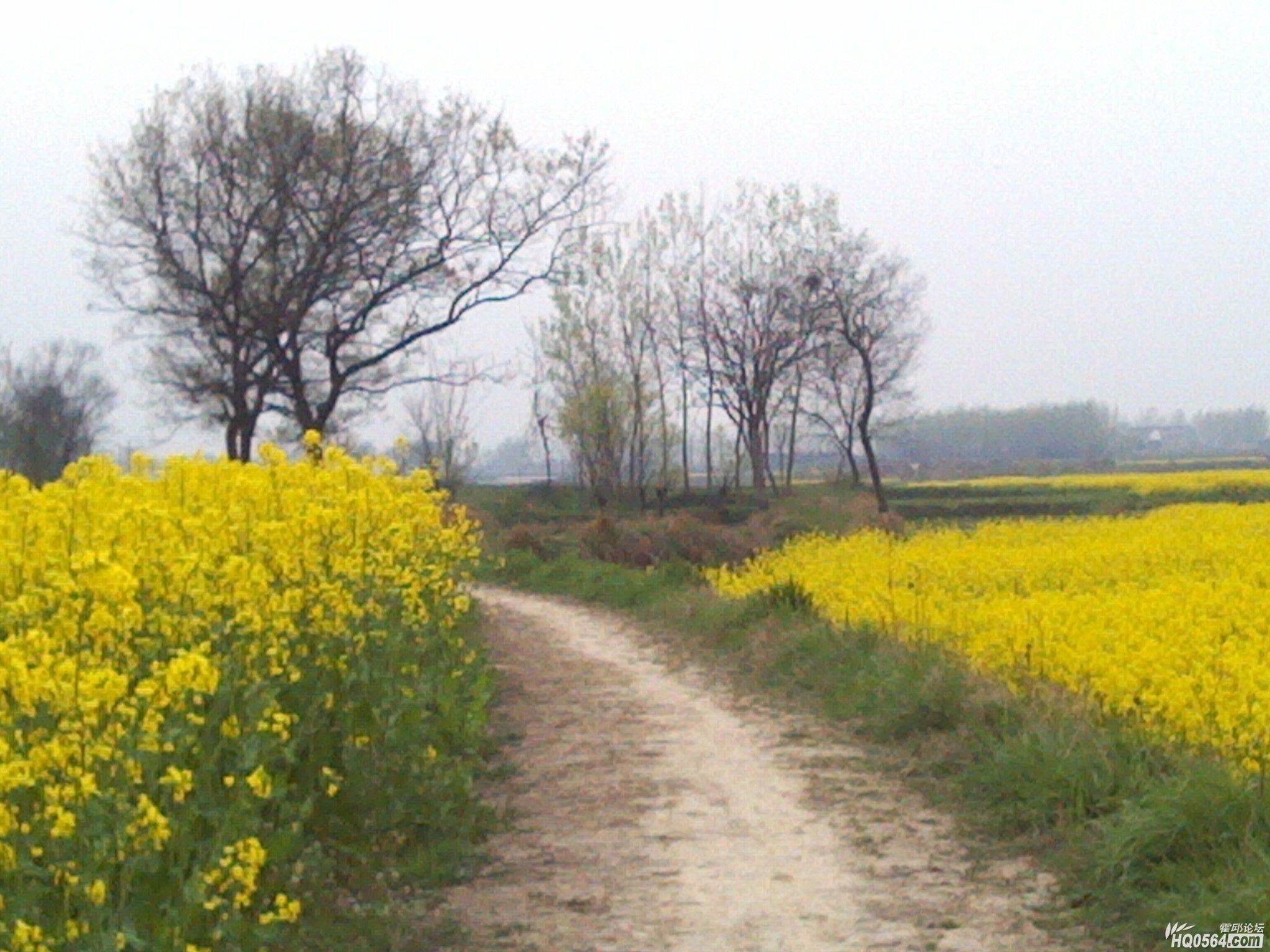 IMG_20120404_181309.jpg