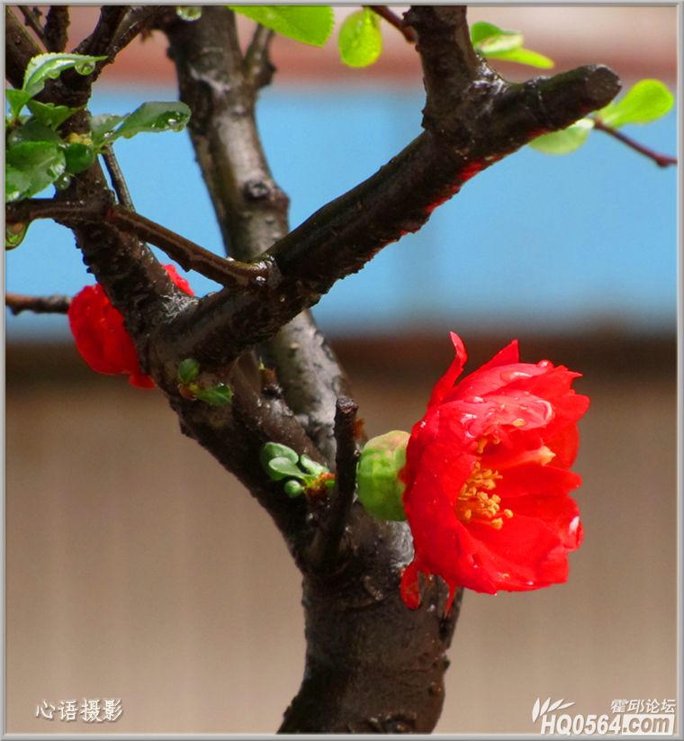 �컨��Ҷ054.jpg