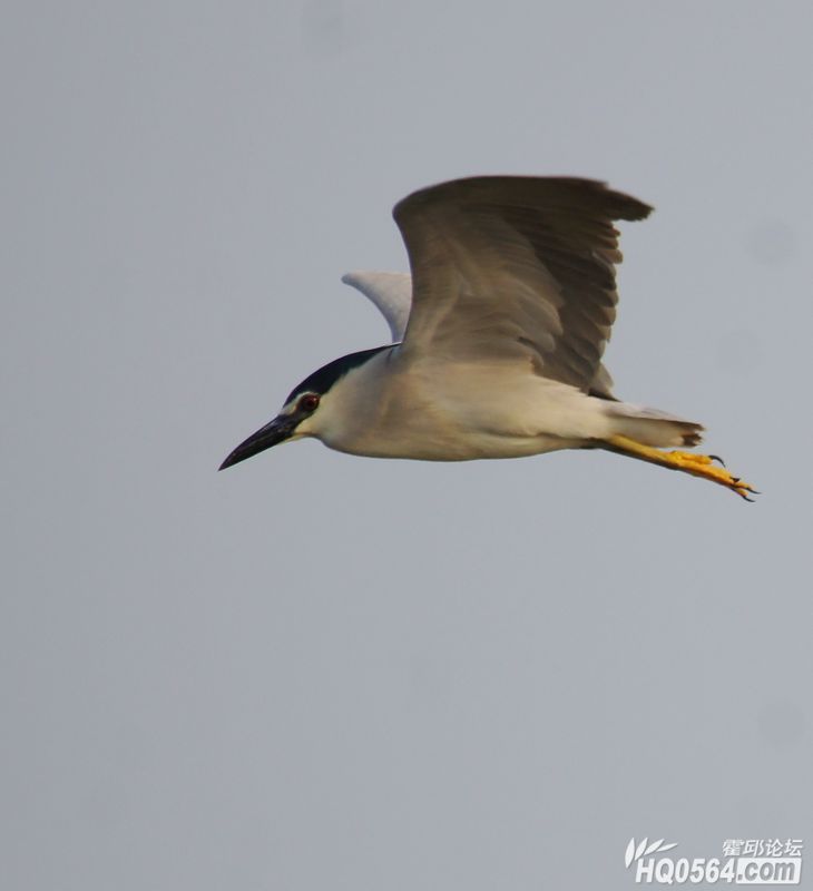 DSC03371.JPG