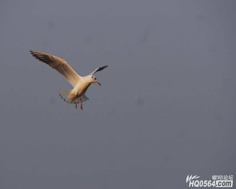 DSC07725.JPG