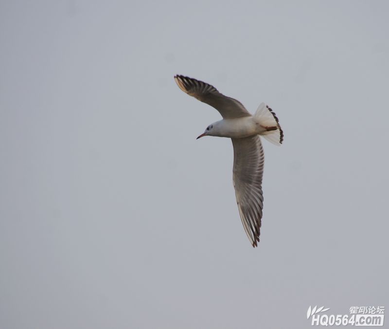 DSC07799.JPG