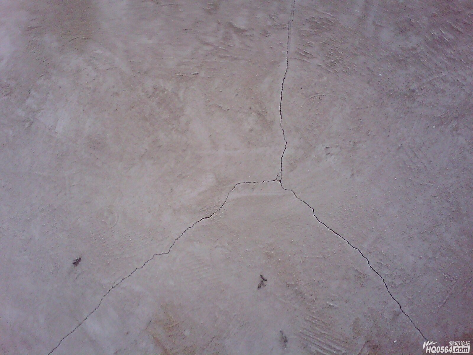 IMG0448A.jpg