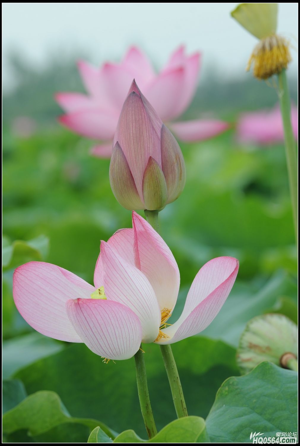 20120708 316.jpg