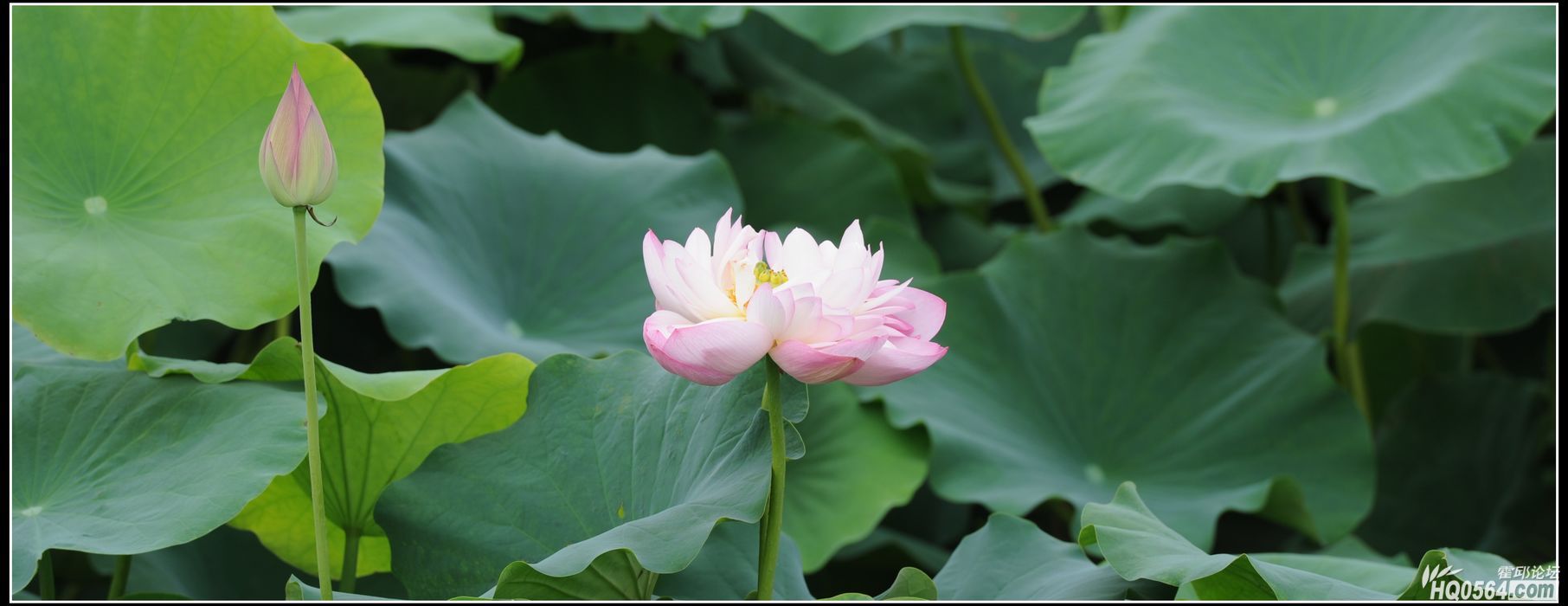 20120708 340.jpg