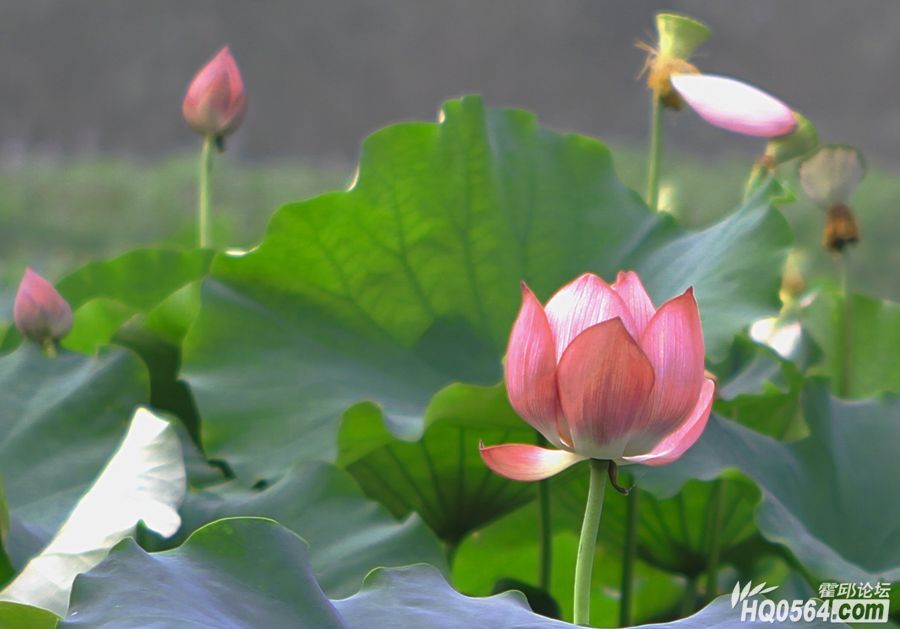 �ޱ���_HDR24���� ����.jpg