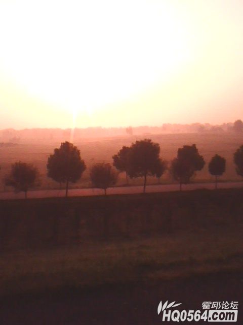 IMG0127A.jpg