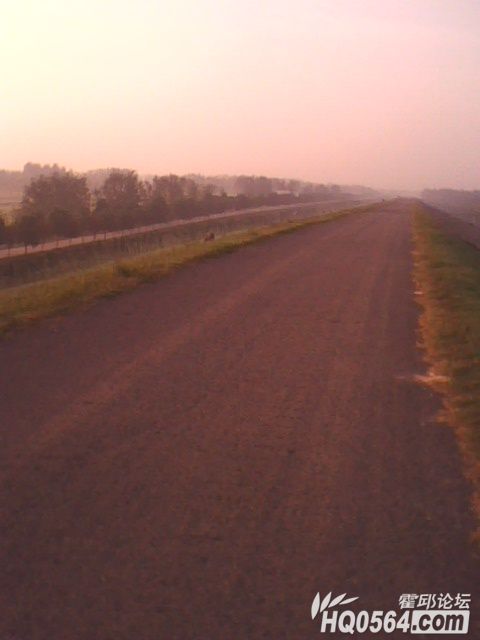 IMG0129A.jpg