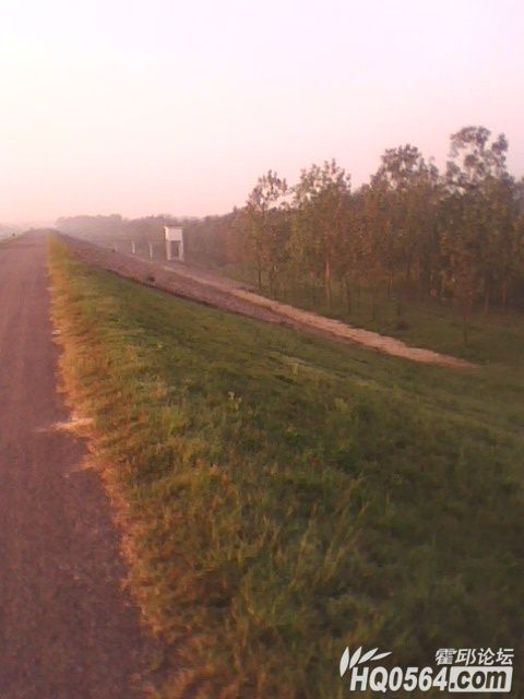 IMG0130A.jpg