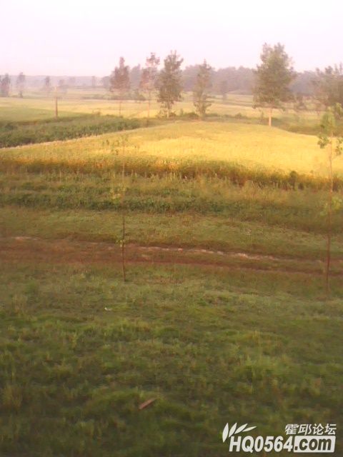 IMG0131A.jpg