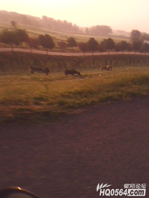 IMG0134B.jpg
