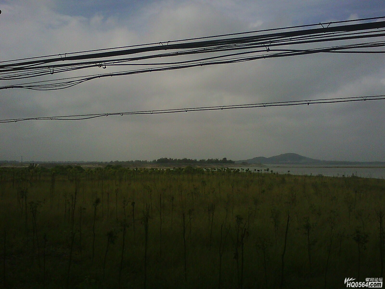 IMG0484A.jpg